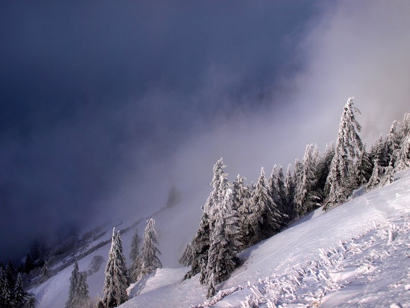 The tie trail in winter