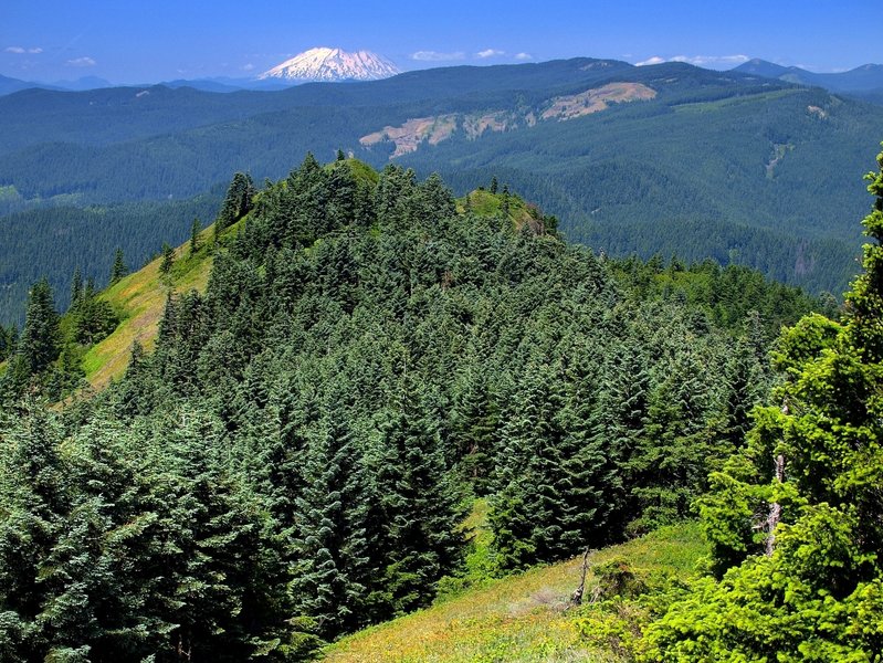 Augspurger's north ridge; Mt. St. Helens on the horizon