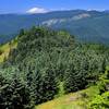 Augspurger's north ridge; Mt. St. Helens on the horizon