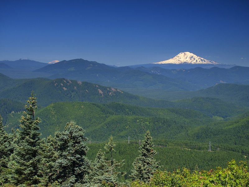 Mt. Rainier and Mt. Adams from Augspurger