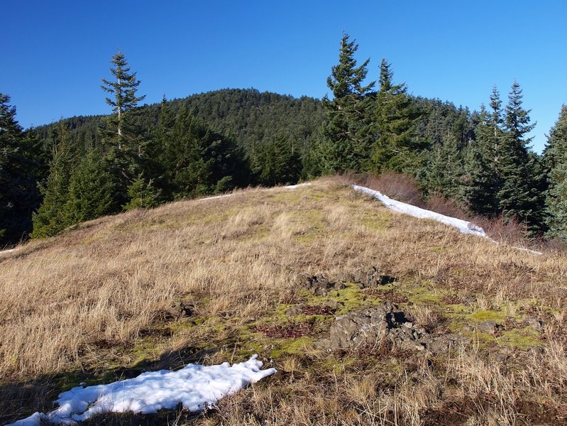 Along the Augspurger Trail