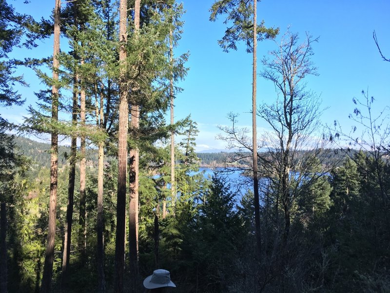 View of lake Campbell.