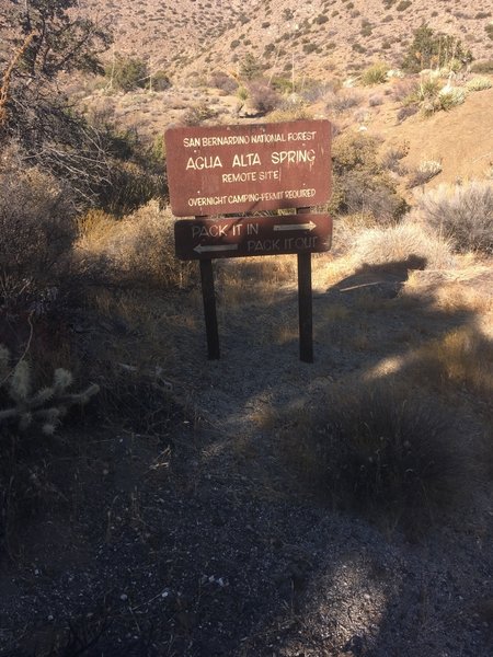 Somehow we stumbled upon the Agua Alta Spring... the spring is up the draw to the north but do not rely on this as a water source!