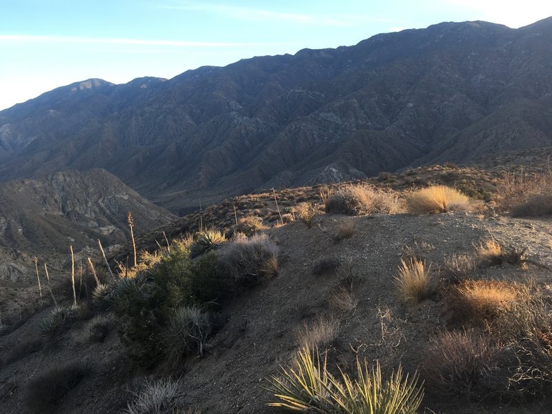 Starting the steep descent into Martinez Canyon.