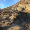 Just before the steepest part of the descent into Martinez Canyon.