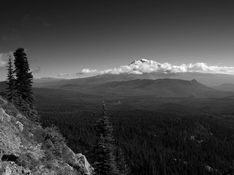 Mount Adams from the Cultus Creek Trail