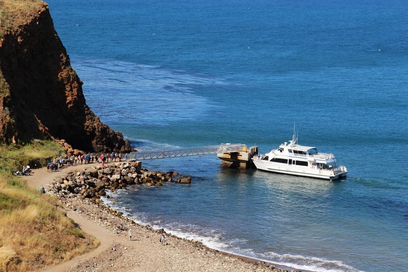 Visitors departing from Channel Island.