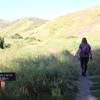 Beginning of Scorpion Canyon Loop Trail.