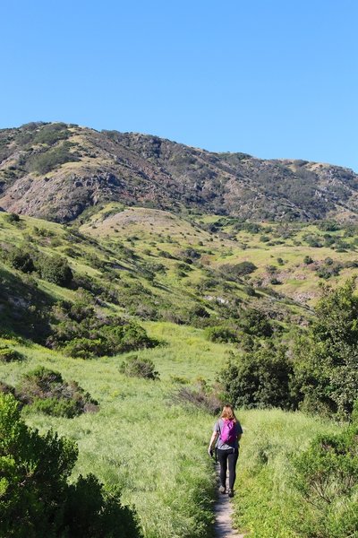 Trekking on Santa Cruz.