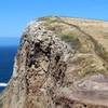 View of Cavern Point Loop Trail.