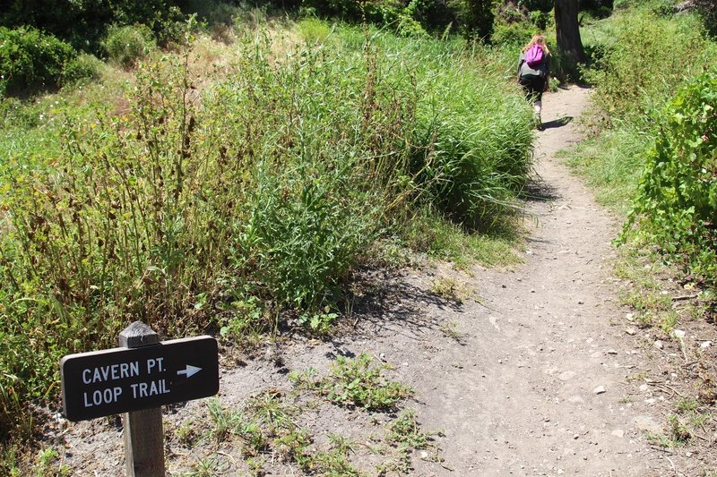 Cavern Point Loop trailhead.