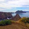 Anacapa Island, Inspiration Point, 2015.03.15.