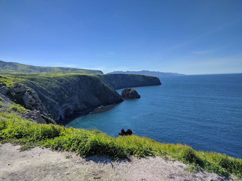 Cavern Point Loop Trail cliff view.