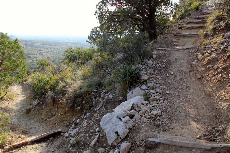 This is a switchback on the Guadalupe Peak Trail.