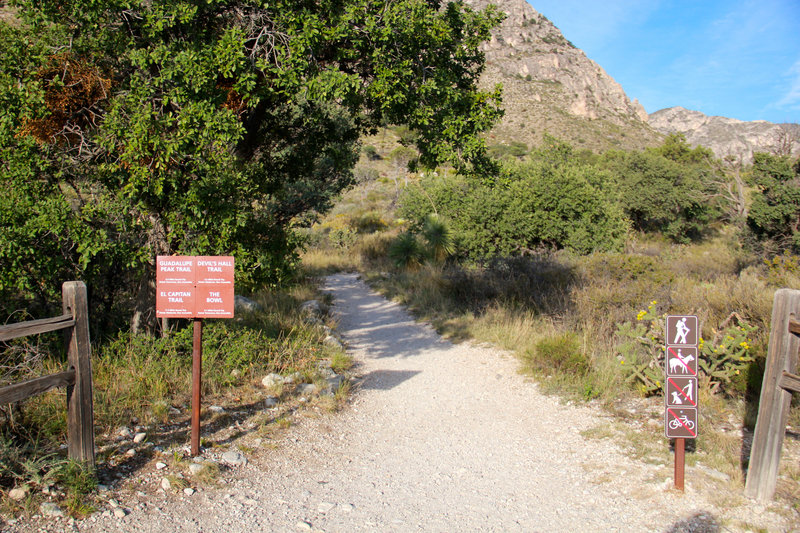 Begin Guadalupe Peak Trail in the morning.