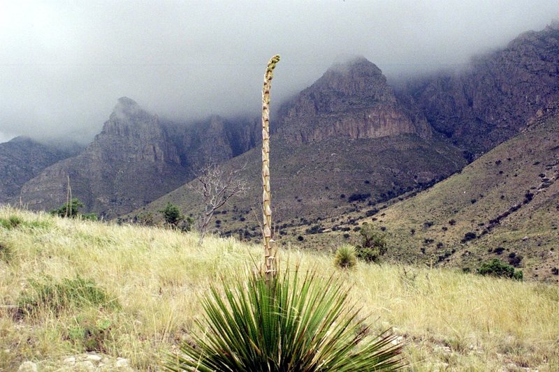 Devil's Hall Trail.