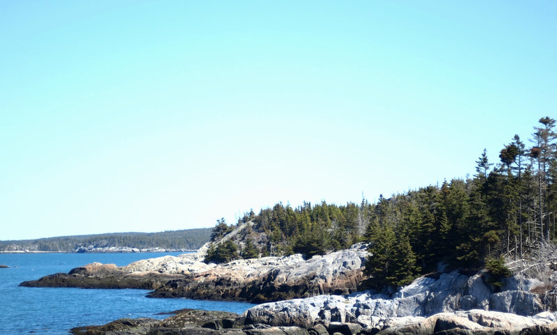 Looking back along the trail to Duck Harbor.