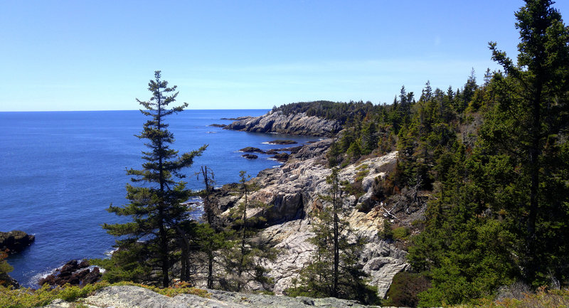 Looking toward Western Head along the Cliff Trail.