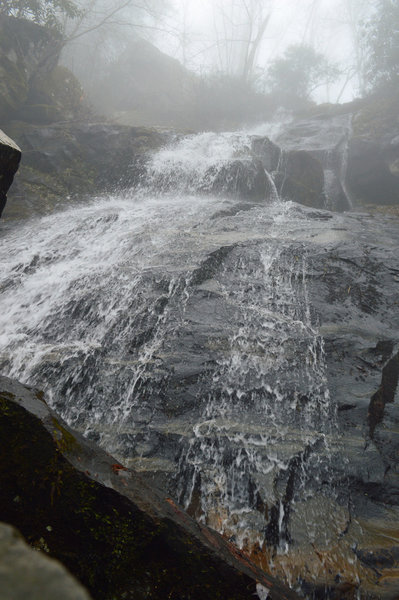 First foggy hike for us. Very creepy as we literally only saw one person on the trail. But, there was cell signal at the falls! Facebook live!