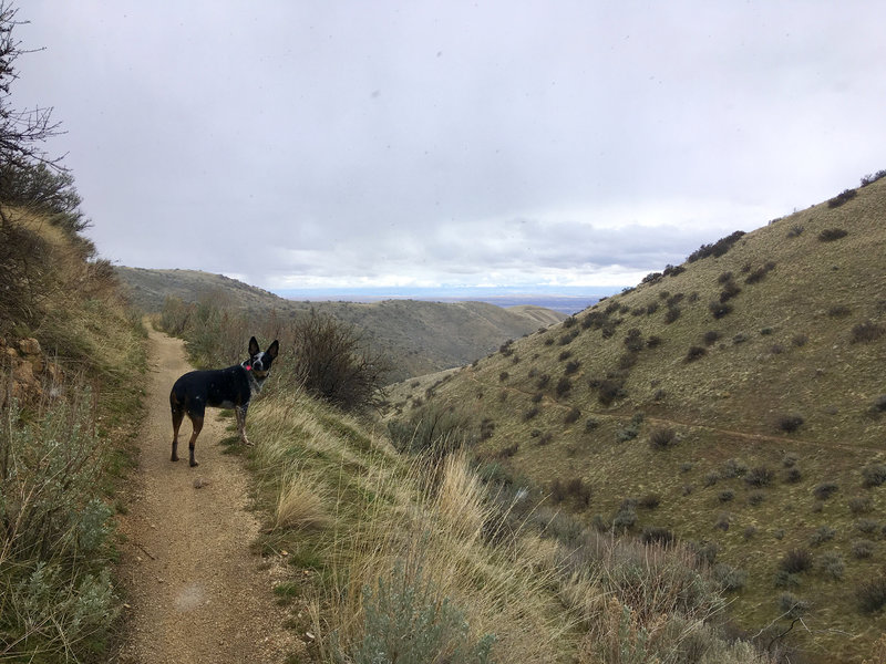 The view of the Boise hills as you approach the top of Freestone Ridge