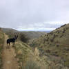 The view of the Boise hills as you approach the top of Freestone Ridge