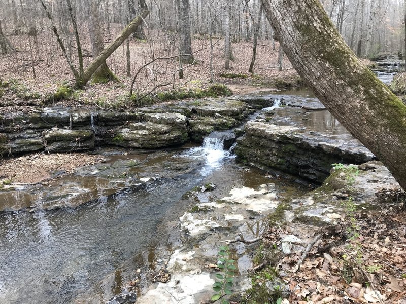 Waterfall near Jones Branch Loop