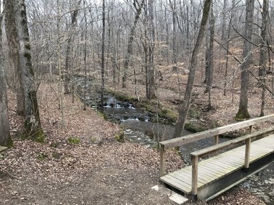Bridge over Lawson Branch. This is really the start of the trail.