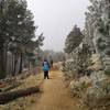 A beautiful spring day on the Meadow Trail as some snow was moving through.