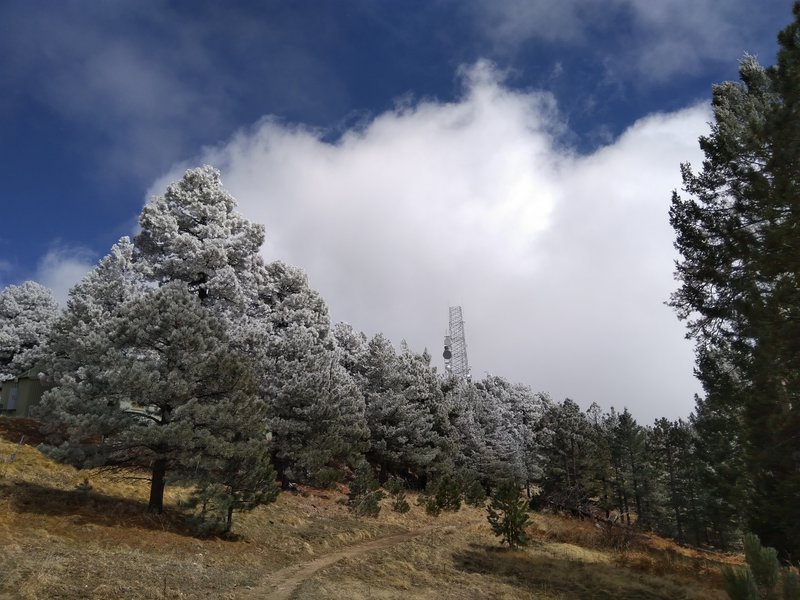 A beautiful spring day on the Meadow Trail as some snow was moving through.