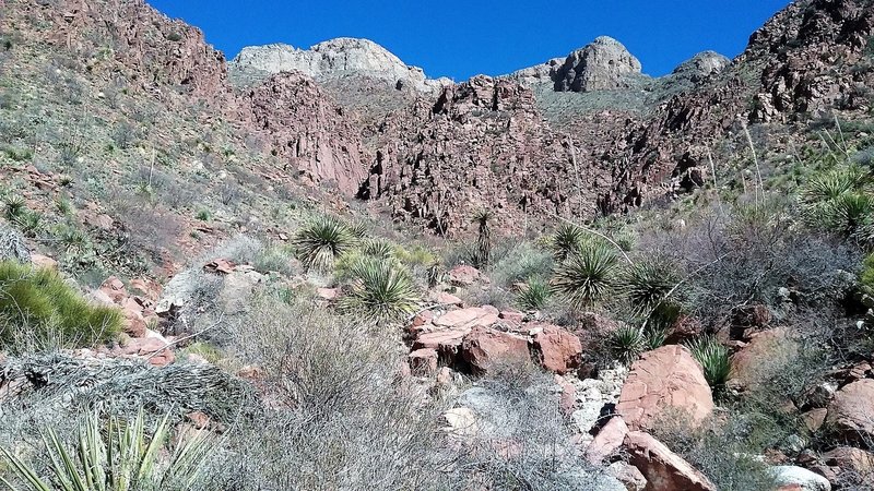 Looking towards the red rock in Thunderbird Canyon.