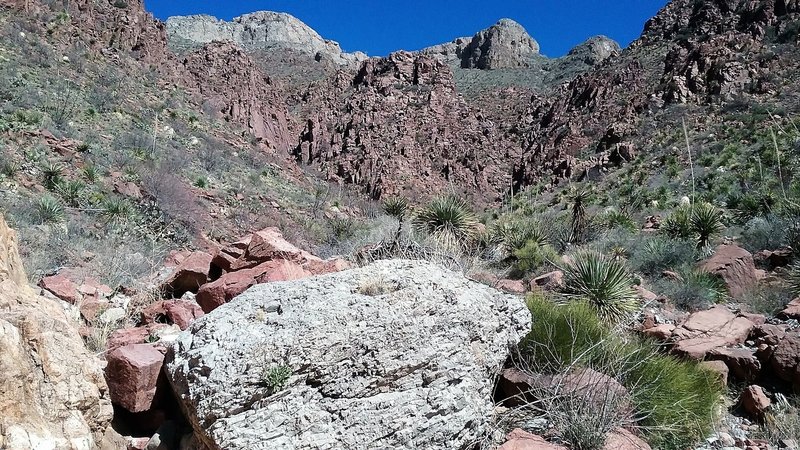 View of the red rock in Thunderbird canyon