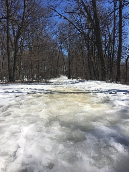 Winter hike through the forest at Rice Lake State Park