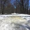 Winter hike through the forest at Rice Lake State Park