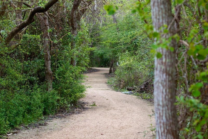 The view on the trail looking south right before the dog leg.