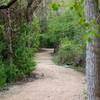 The view on the trail looking south right before the dog leg.