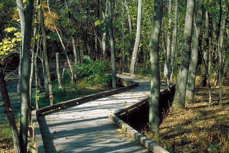 Main trail along the wetlands in the early fall.