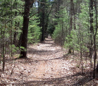 Nashua River Trail