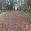 Looking towards the main gate, as a trail maintenance crew cleans the place up.