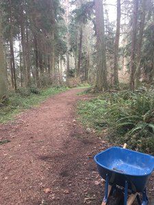 More trail for us to 'spruce' up... come on laugh, it was funny.