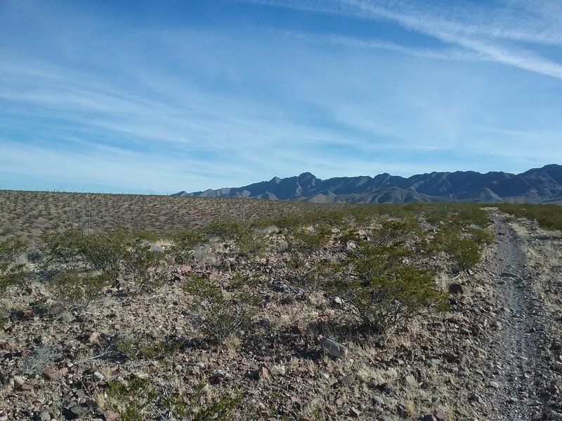 Looking NE on the trail.