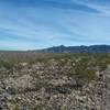 Looking NE on the trail.