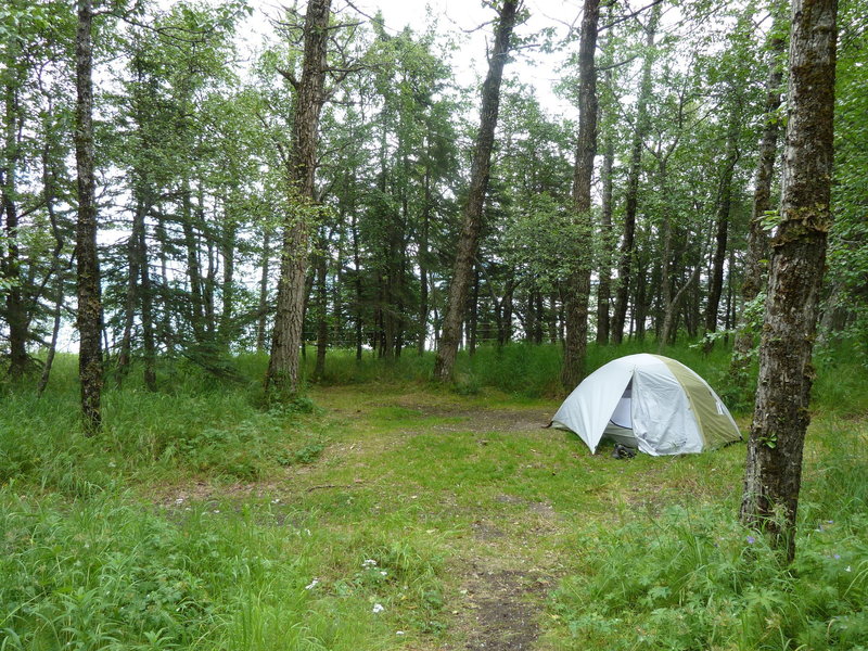 Tent in campground.