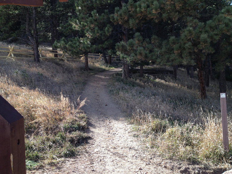 Trail into Pence Park.