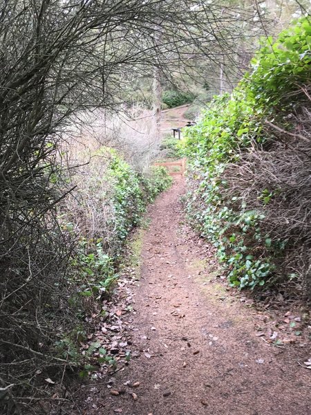 Bluff Trail towards the parking lot.