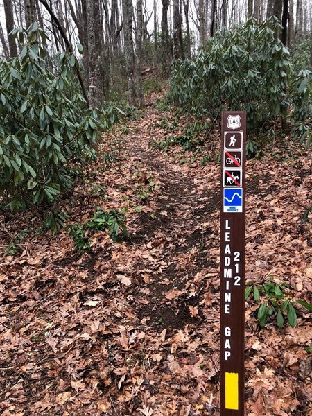 This trailhead sign is not easy to see from Curtis Creek Rd