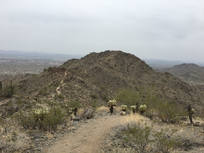 Looking toward the ascending trail of Crest Summit