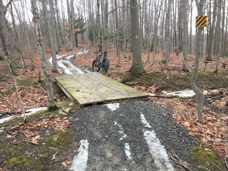 Bridge on Perimeter Trail just before you reach the Long Path juncture.