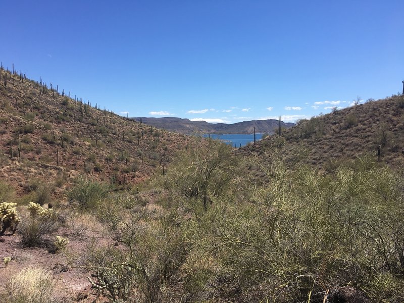 One of the few glimpses of the lake along Pipe Canyon