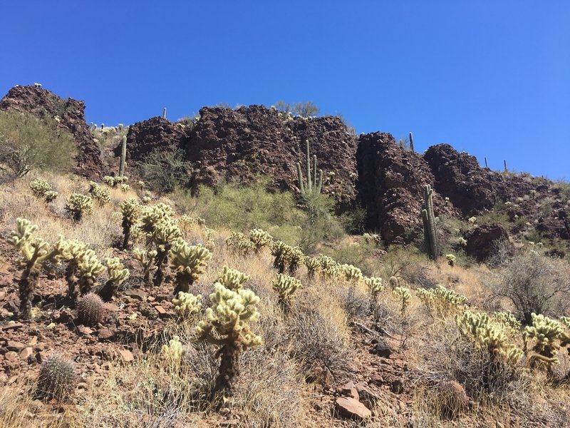 Some interesting desert landscape