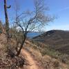 On the way to the top of Yavapai Point